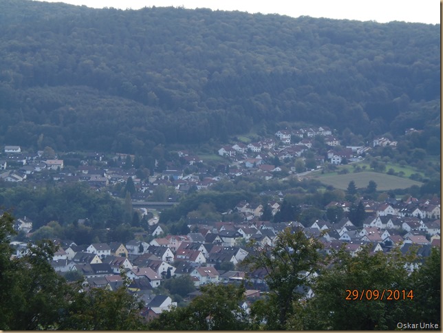 Blick auf Obrigheim