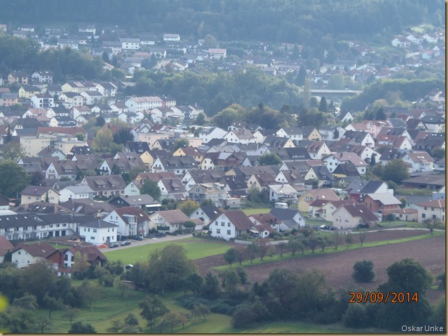 Blick auf Obrigheim
