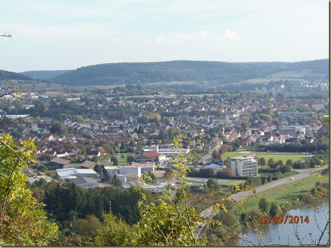 Blick auf Diedesheim und Neckarelz