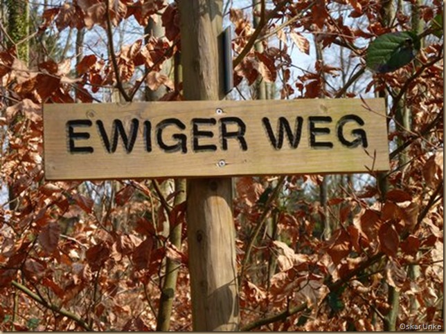 Ewiger Weg maerzii2011walzbwald016